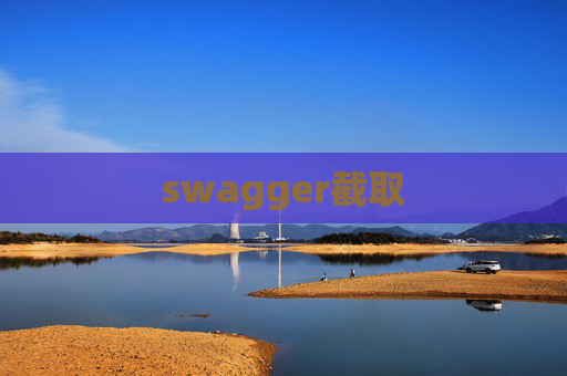 swagger截取